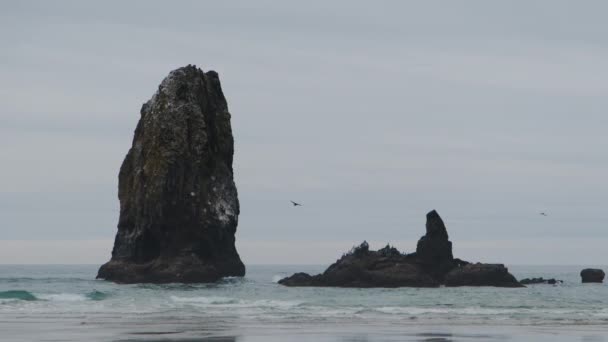 オレゴン州の沿岸部の町キャノンビーチでヘイスタックロックビーチのショット 高品質4K映像 — ストック動画