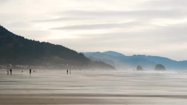 Strzał Plaży Haystack Rock Nadmorskim Mieście Cannon Beach Oregon Wysokiej — Wideo stockowe