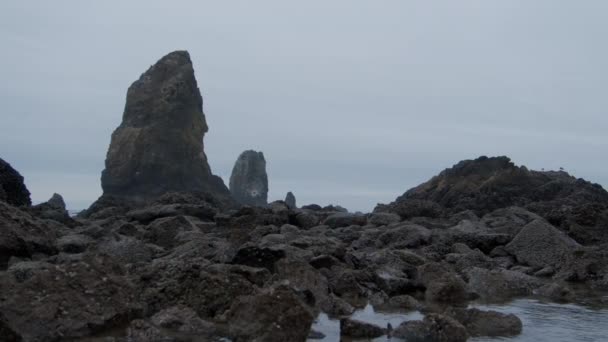 Disparo Playa Haystack Rock Ciudad Costera Cannon Beach Oregon Imágenes — Vídeo de stock