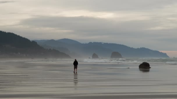 Sandy Beach Man Walking Out Oregon Coast High Quality Footage — Stock Video