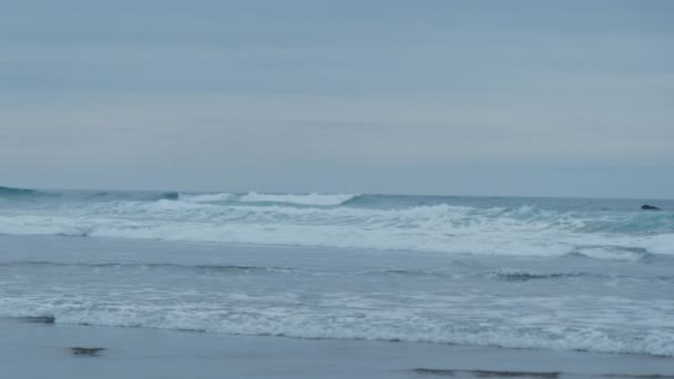オレゴン州の沿岸部の町キャノンビーチでヘイスタックロックビーチのショット 高品質4K映像 — ストック動画