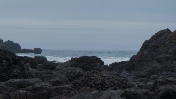 Záběr Pláže Haystack Rock Pobřežním Městě Cannon Beach Oregonu Vysoce — Stock video