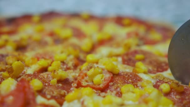 Cięcie Pizzy Nożem Cięcia Pocięte Kawałki Zwolnij Trochę Wysokiej Jakości — Wideo stockowe