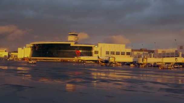 Avião Aeroporto Internacional Seattle Tacoma Vista Pórtico Avião Seattle Eua — Vídeo de Stock