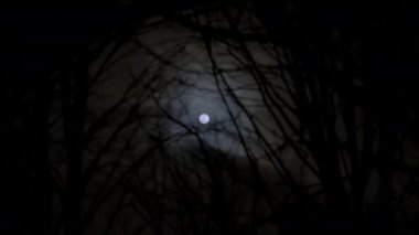 Dark clouds past shining full moon at night with spooky tree branches. High quality 4k footage
