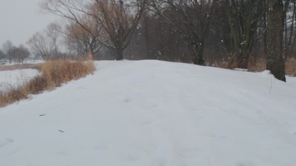 Man Run Jack Russell Terrier Dog Snow Happy Cheerful High — Stok video