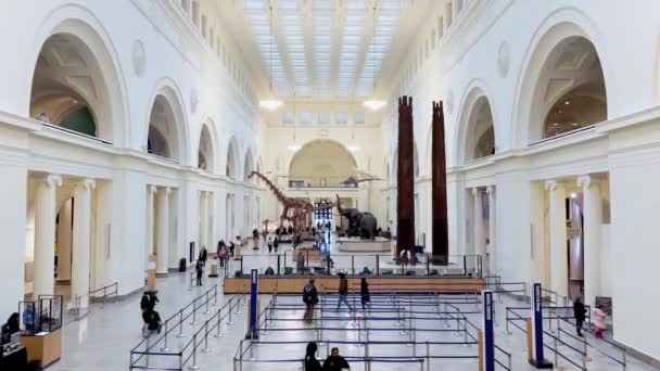 参观美国伊利诺伊州芝加哥菲尔德博物馆受欢迎的展览的游客 2023年1月26日 高质量的4K镜头 — 图库视频影像
