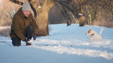 Man playing with jack russell terrier dog in snow in park. happy cheerful . High quality 4k footage