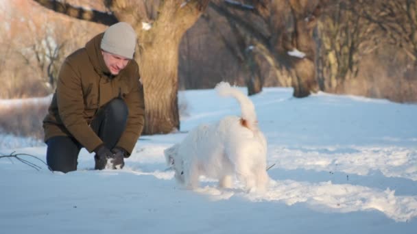 Man Playing Jack Russell Terrier Dog Snow Park Happy Cheerful — Stockvideo