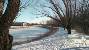sun peeking through snowy forest . Wonderful winter day after fallen snow. . High quality 4k footage