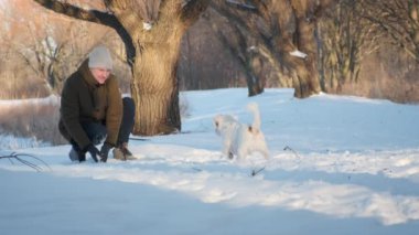 Man playing with jack russell terrier dog in snow in park. happy cheerful . High quality 4k footage