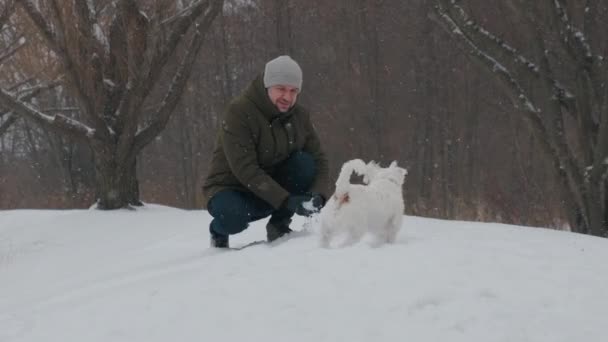 Człowiek Bawiący Się Jackiem Russellem Terrierem Śniegu Parku Wesołych Świąt — Wideo stockowe