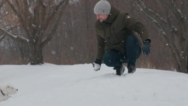 Man Playing Jack Russell Terrier Dog Snow Park Happy Cheerful — Αρχείο Βίντεο
