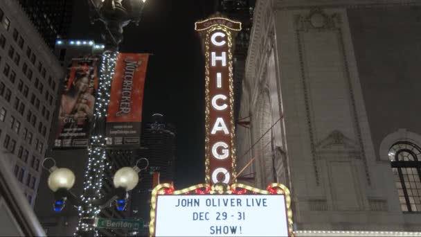 Les Gens Circulation Rassemblent Par Chicago Theatre Sur Rue Dans — Video