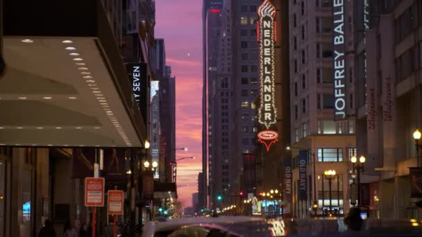 シカゴ ループ地区のシカゴ シアター ストリートには 2023年1月3日まで 人々や交通が集まります 高品質4K映像 — ストック動画