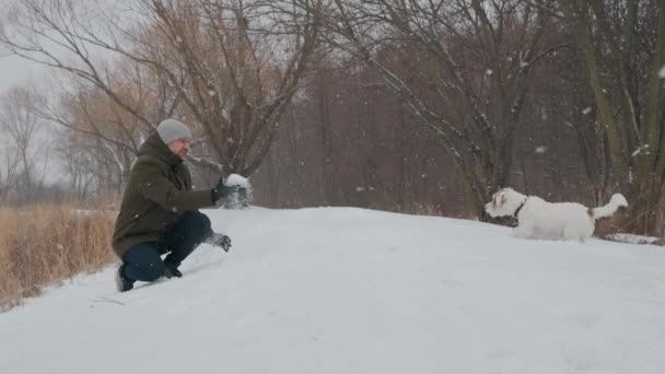 Man Playing Jack Russell Terrier Dog Snow Park Happy Cheerful — 图库视频影像