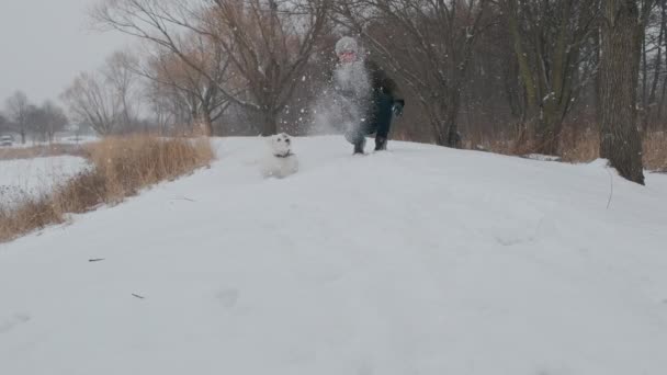 Adam Parkta Jack Russell Terrier Köpeğiyle Oynuyor Neşeli Yüksek Kalite — Stok video