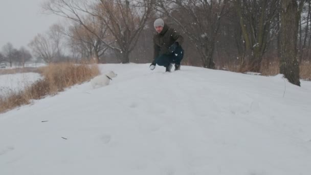 Człowiek Bawiący Się Jackiem Russellem Terrierem Śniegu Parku Wesołych Świąt — Wideo stockowe