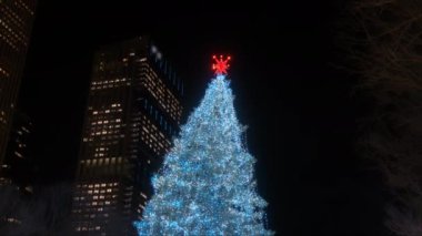 Chicago Noel Ağacı ve Turistler şehir merkezinde. Yüksek kalite 4k görüntü