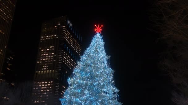 Рождественская Ёлка Туристы Чикаго Центре Города Высококачественные Кадры — стоковое видео