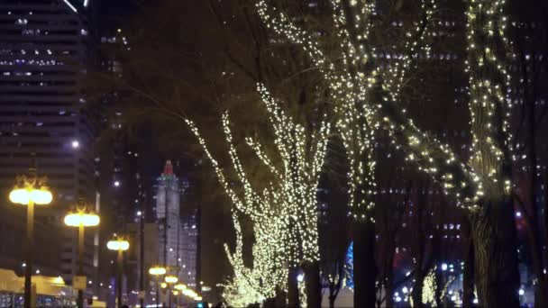 芝加哥市中心的圣诞街道 芝加哥 2023年1月3日 高质量的4K镜头 — 图库视频影像