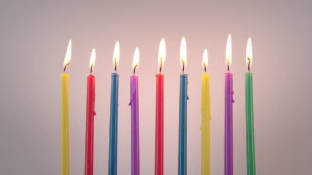 Colored Hanukkah Candles White Background High Quality Footage — Stock Video