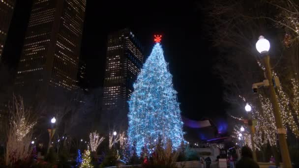シカゴクリスマスツリーとダウンタウンの観光客 高品質4K映像 — ストック動画