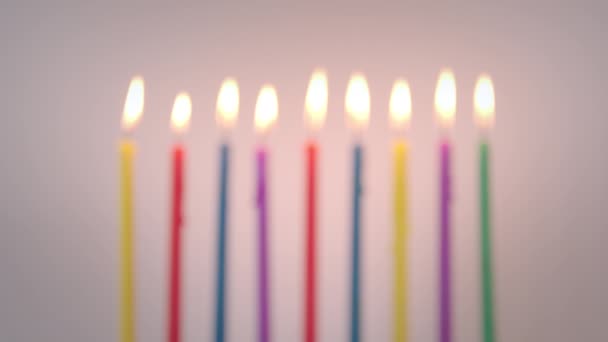 Colored Hanukkah Candles White Background High Quality Footage — Stock Video