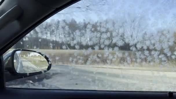Carro Movimento Com Janela Congelada Imagens Alta Qualidade — Vídeo de Stock