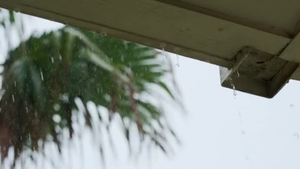 Heavy Rain Storm Hitting House Roof Rain Gutter Slow Motion — Stock Video