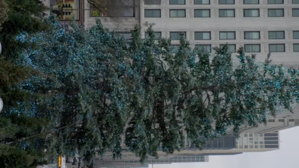 Χριστουγεννιάτικο Δέντρο Του Σικάγο Και Τουρίστες Στο Κέντρο Υψηλής Ποιότητας — Αρχείο Βίντεο