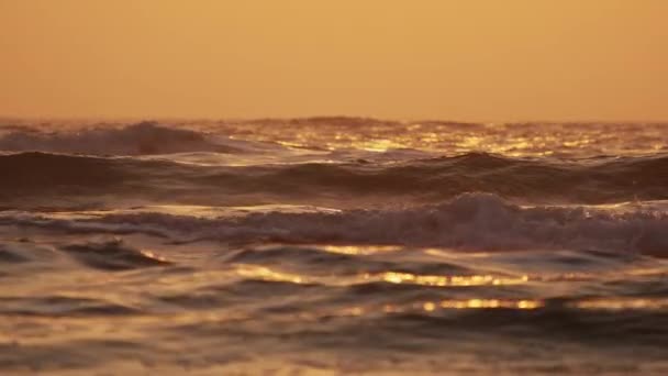 Ωκεανός Κυματίζει Στην Ακτή Την Αυγή Αργή Κίνηση Υψηλής Ποιότητας — Αρχείο Βίντεο