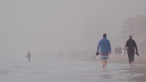 Άνθρωποι Περπατούν Στην Αμμώδη Παραλία Καλημέρα Ομιχλώδη Ώρα Υψηλής Ποιότητας — Αρχείο Βίντεο