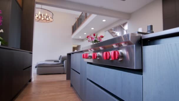 Modern Luxe Keuken Interieur Een Onlangs Gerenoveerd Huis Verplaatsen Camerabeelden — Stockvideo