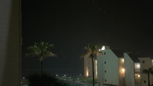 近距离拍摄的棕榈树被暴风 飓风和闪电在夜间刮来刮去 高质量的4K镜头 — 图库视频影像