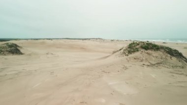 Rüzgar erozyonunu kontrol etmek ve Güney Padre Adası Sahili 'nde kum tepeciklerini dengelemek için kum çitlerinin hava aracı atışı. Yüksek kalite 4k görüntü