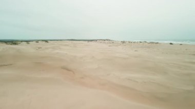 Rüzgar erozyonunu kontrol etmek ve Güney Padre Adası Sahili 'nde kum tepeciklerini dengelemek için kum çitlerinin hava aracı atışı. Yüksek kalite 4k görüntü