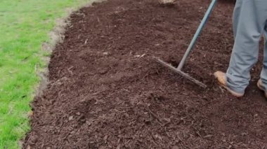 Bir tırmıkla düzleştirilir, ağaç kabuğu ile bahçe bitkileri gübrelenir. Manzara bakımı. Yüksek kalite 4k görüntü