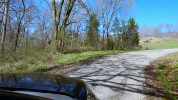 Погана Точка Зору Водіння Автомобіля Сільська Дорога Лісом Високоякісні Кадри — стокове відео