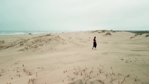 Jeune Voyageuse Sur Une Énorme Dune Sable Une Antenne Pittoresque — Video