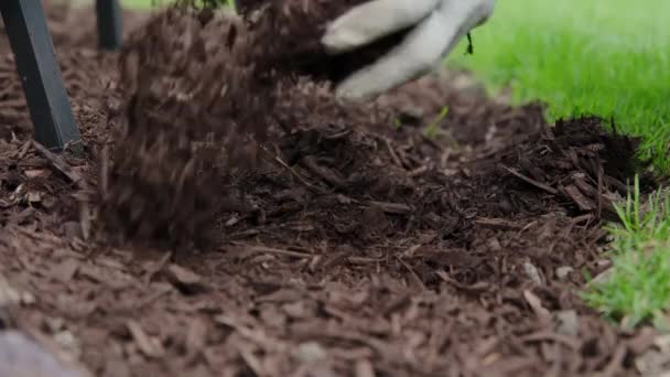 Mulching Trädgård Växter Med Träd Bark Kompost Landskapsvård Högkvalitativ Film — Stockvideo