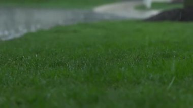 Slow Motion, heavy rain water drops falling into big puddle on asphalt, flooding the street. High quality 4k footage