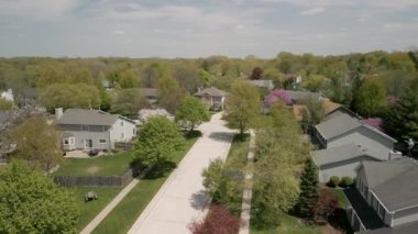 Renkli ağaçların, konutların ve banliyö caddesi boyunca drenaj gölü olan bahçelerin yukarıdan görünüşü. Yüksek kalite 4k görüntü