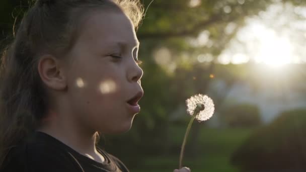 Ένα Κοριτσάκι Βγάζει Σπόρους Από Ένα Λουλούδι Πικραλίδας Ηλιοβασίλεμα Υψηλής — Αρχείο Βίντεο