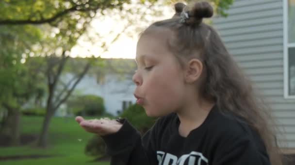 少女は夕日にタンポポの花から種を吹く 高品質4K映像 — ストック動画