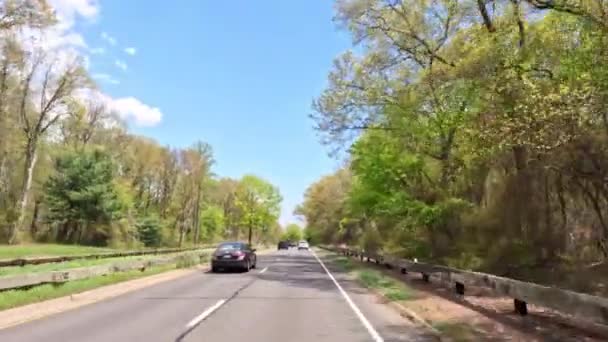 Pov Sisi Pandang Mengemudi Dalam Perjalanan Kendaraan Mobil Dengan Hutan — Stok Video