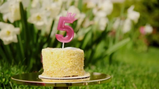 Brennende Kerzen Geburtstagskuchen Bunte Kerzen Lodern Selbstgebackenem Kuchen Auf Blumenhintergrund — Stockvideo