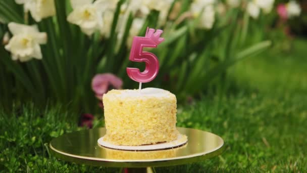 Brennende Kerzen Geburtstagskuchen Bunte Kerzen Lodern Selbstgebackenem Kuchen Auf Blumenhintergrund — Stockvideo