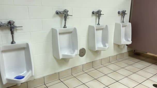 Mens Public Restroom White Porcelain Urinals Line High Quality Footage — Stock Video