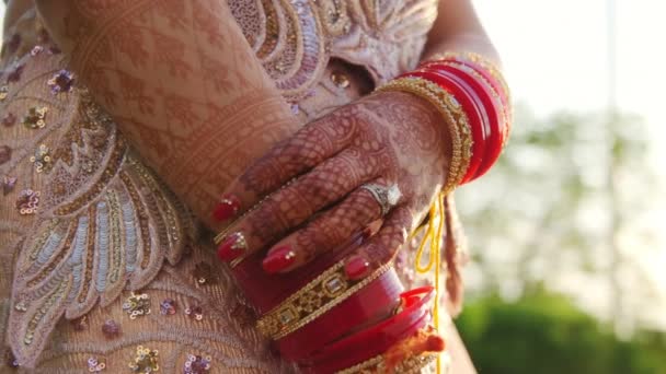 Geleneksel Hint Düğününde Giyinmiş Güzel Bir Kadın Yüksek Kalite Görüntü — Stok video
